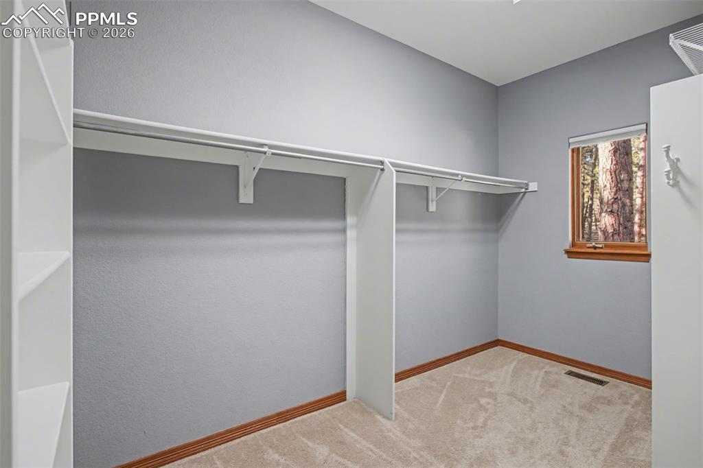 Walk in closet featuring light colored carpet