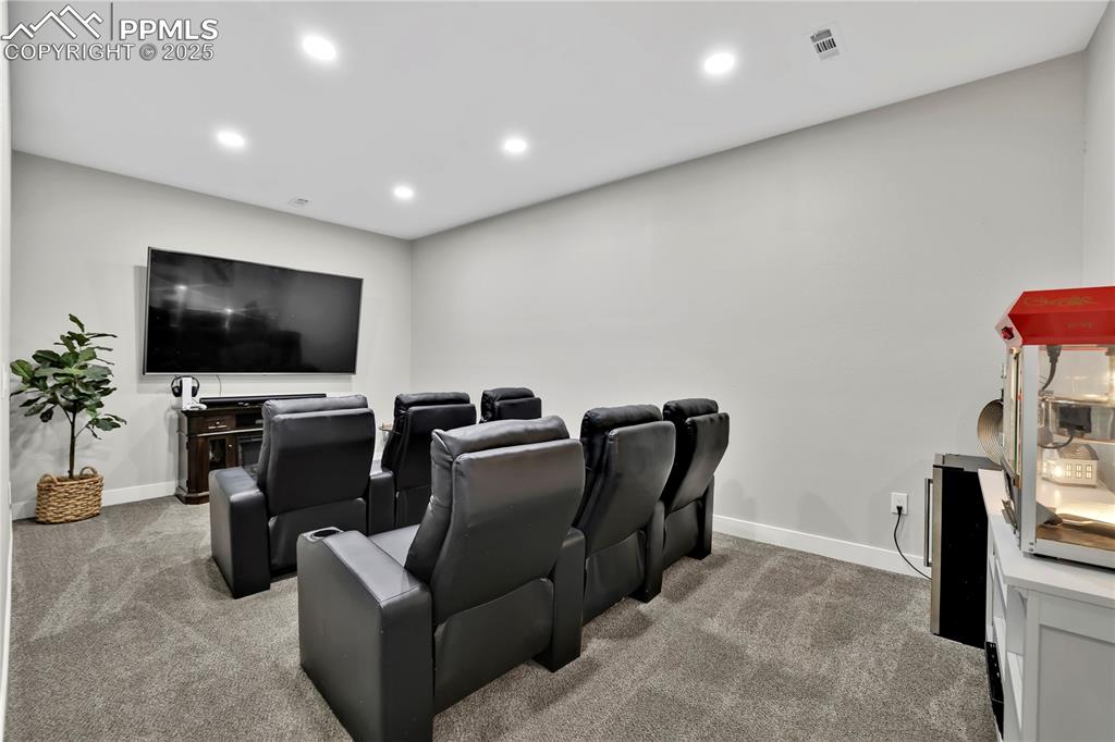 Theater Room/Flex Space 