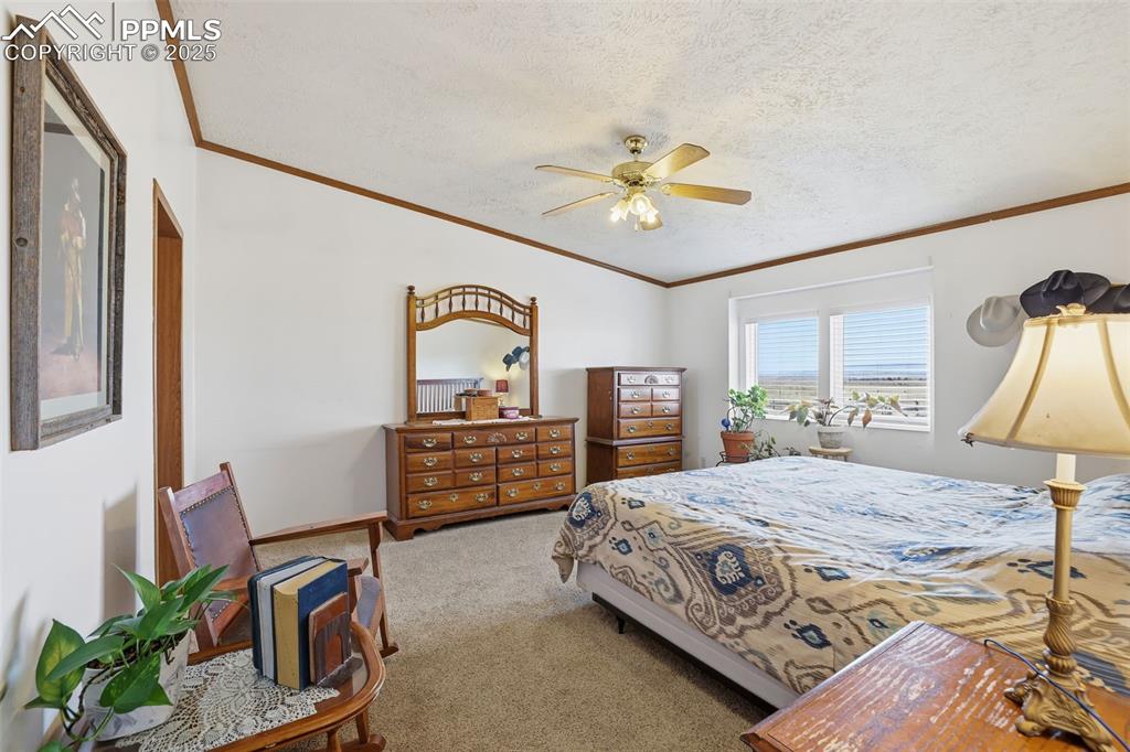 Bedroom featuring carpet, ornamental molding, a ceiling fan, and a textured ceiling