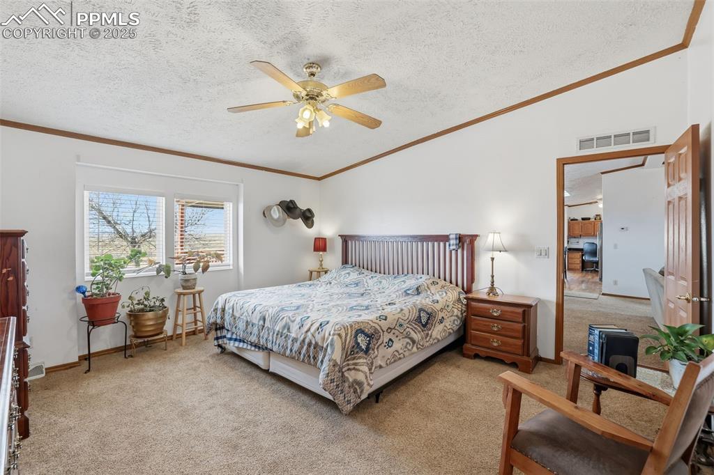 Carpeted bedroom with lofted ceiling, a textured ceiling, ornamental molding, and ceiling fan