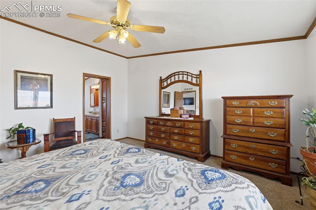Bedroom featuring ornamental molding, ceiling fan, dark colored carpet, and connected bathroom