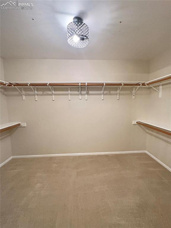 Walk in closet featuring light colored carpet
