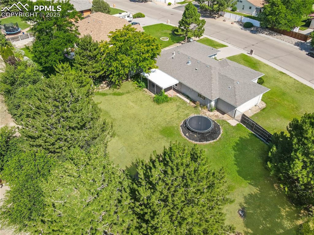 204 Bridle Trail photo 3