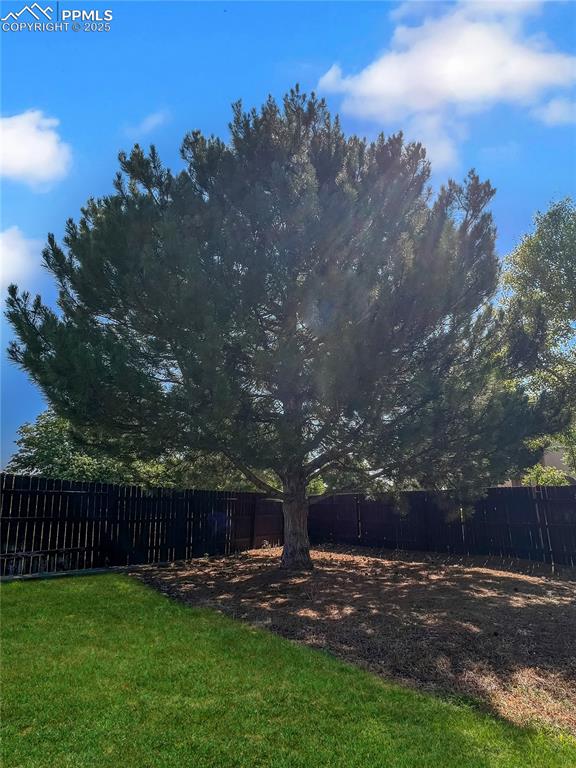 View of fenced backyard