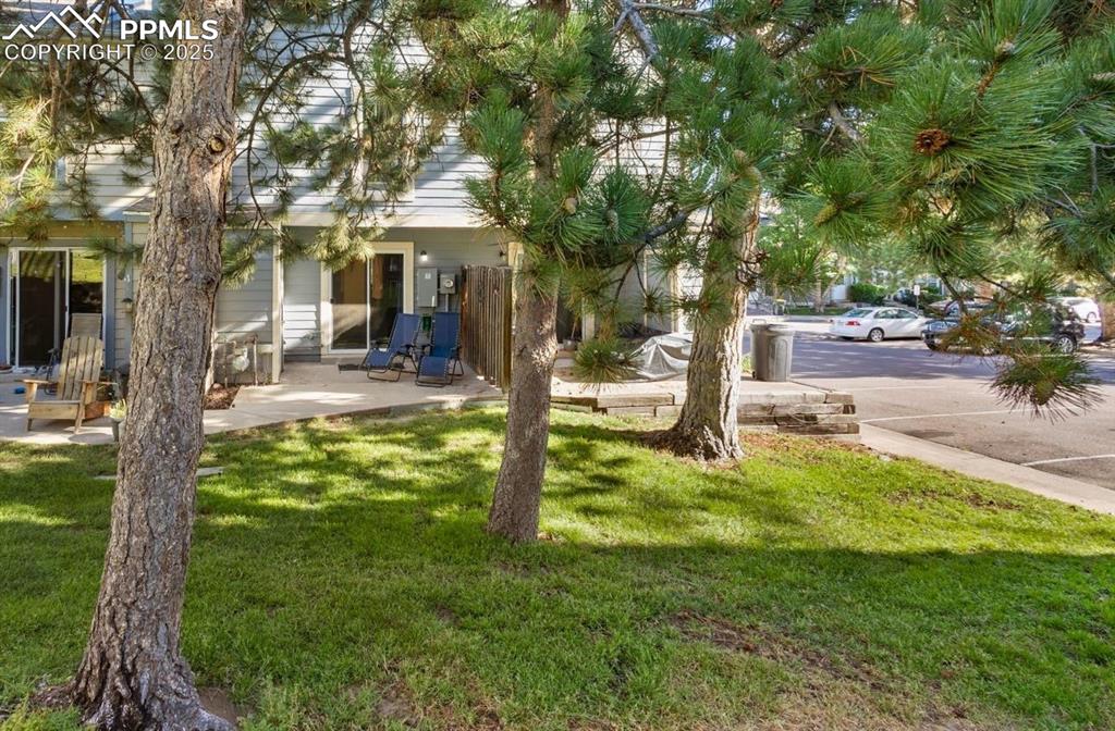 3556 Queen Anne Way photo 3