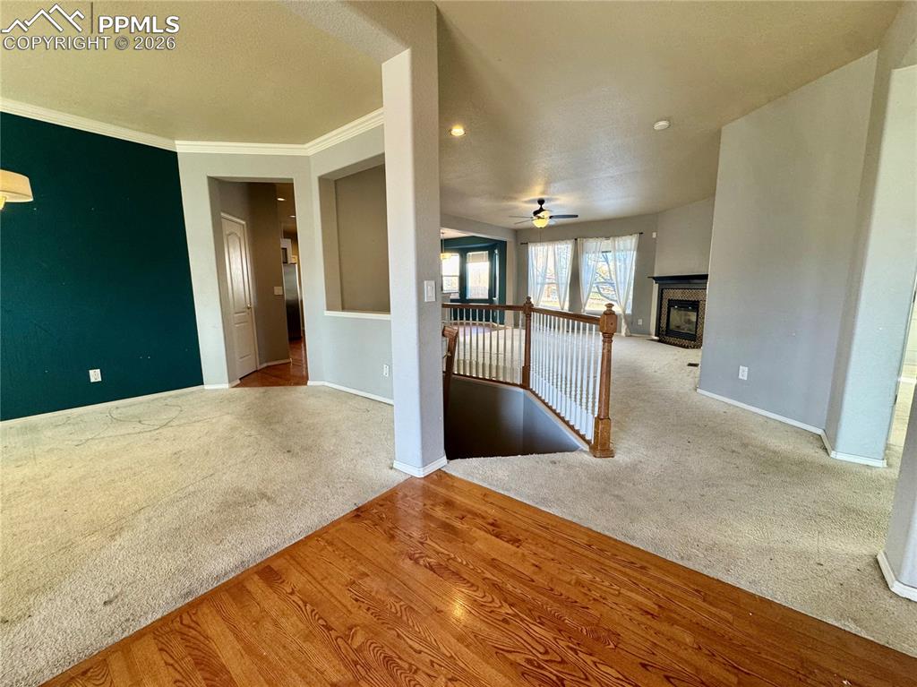 12320 Grand Teton Drive photo 2