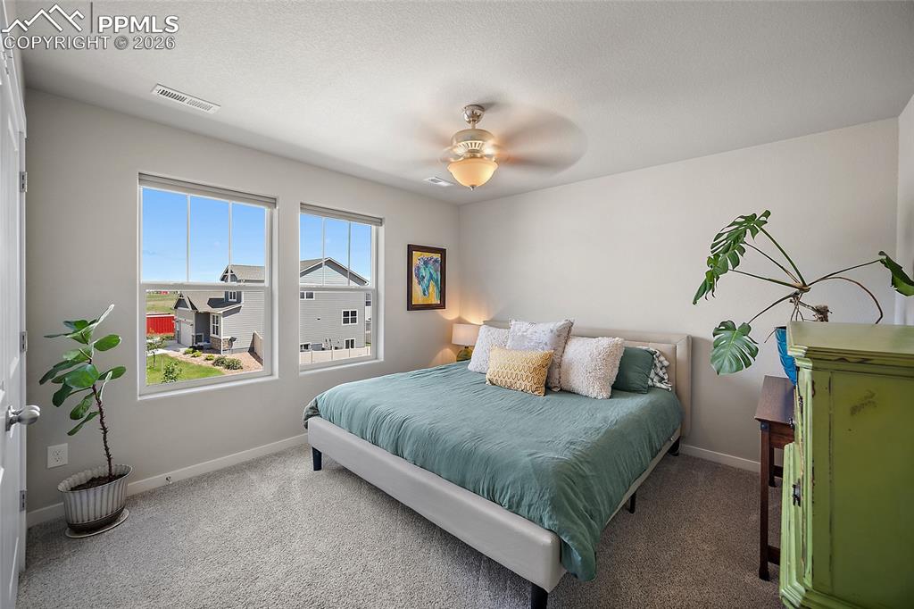 Second bedroom with large window allowing for an abundance of natural light