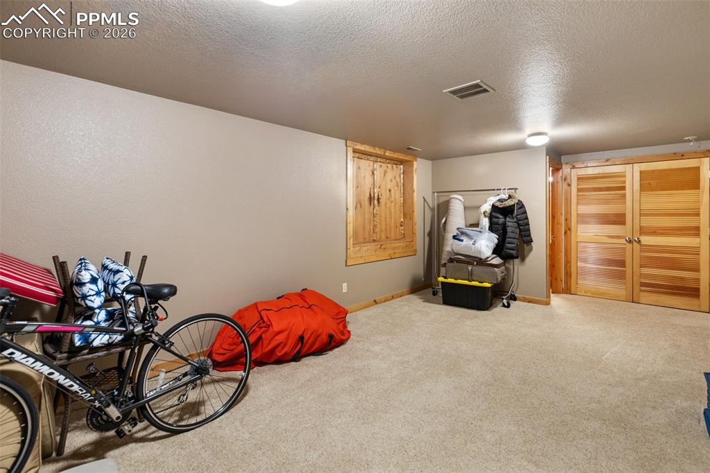 Lower Level Family Room