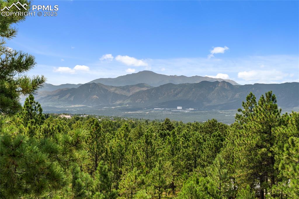 17715 Radbourne Court photo 2