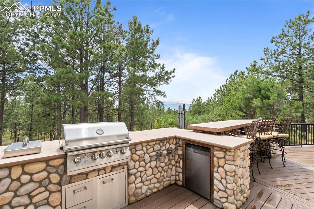 Upper patio with grill, counters and refrigerator