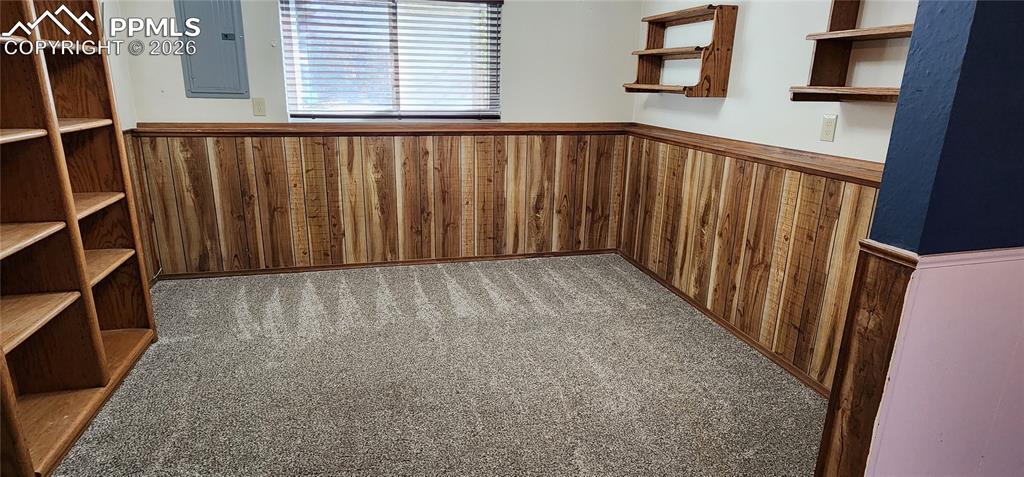 bonus room lower level