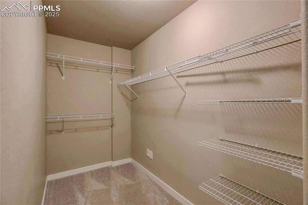 Huge Walkin closet in Basement Bedroom