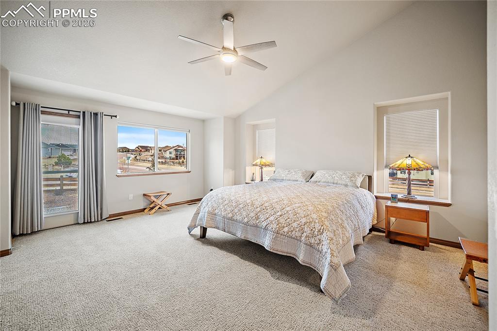 Primary bedroom with vaulted ceilings and walkout to back yard.