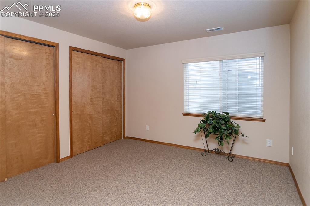 Bedroom #4 in the basement features double closets.
