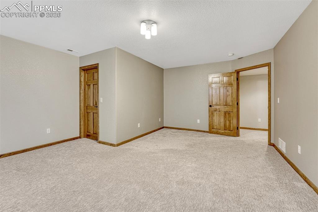 #2 basement bedroom with large walk-in closet