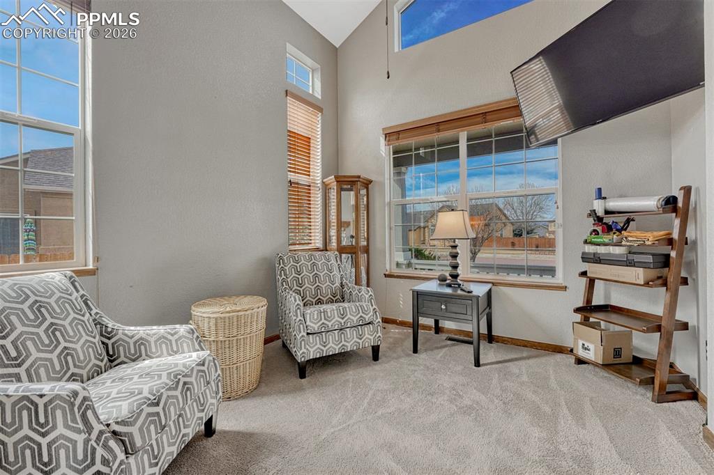 Sitting room featuring light carpet and a high ceiling