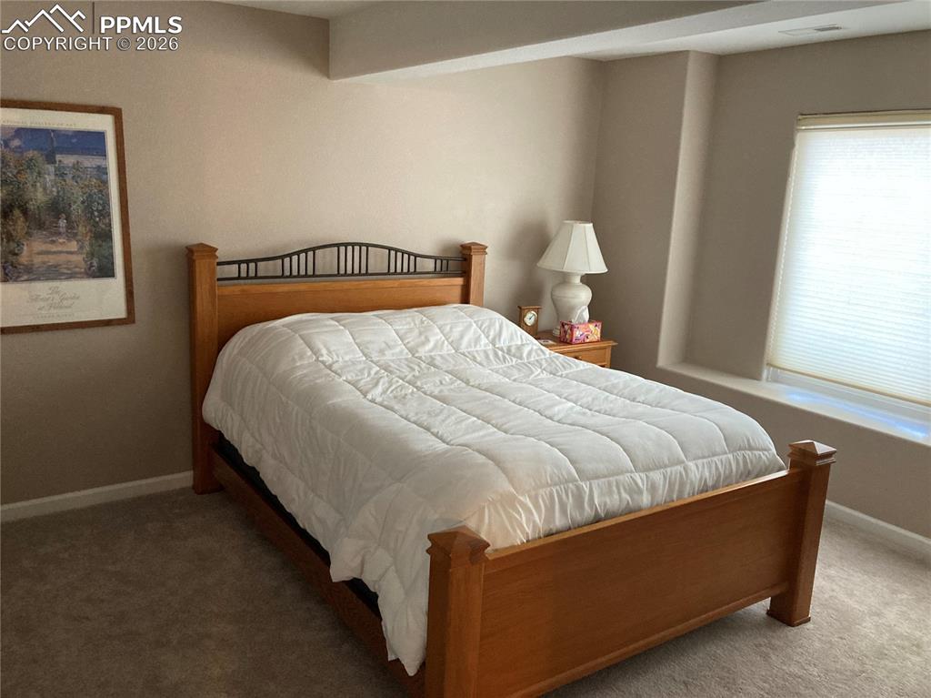 Second bedroom in the basement with a walk-in closet.