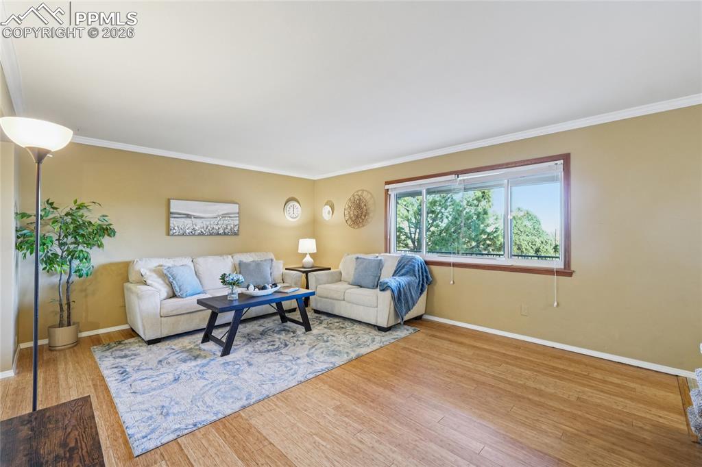 Light, airy living room