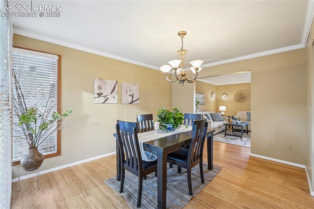 Feel part of nature with big vertical picture windows.