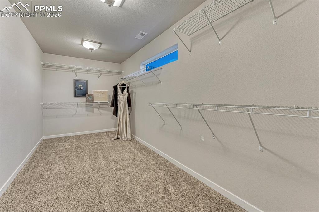 Walk in closet featuring light carpet