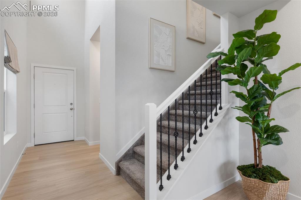 8554 Blue Feather Loop photo 2