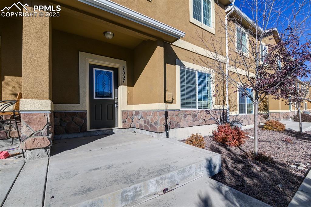 7557 Black Spruce Heights photo 3