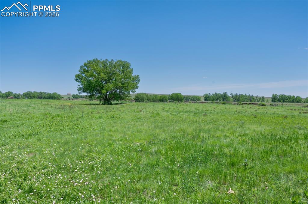 9503 Brisk Breeze Court photo 3