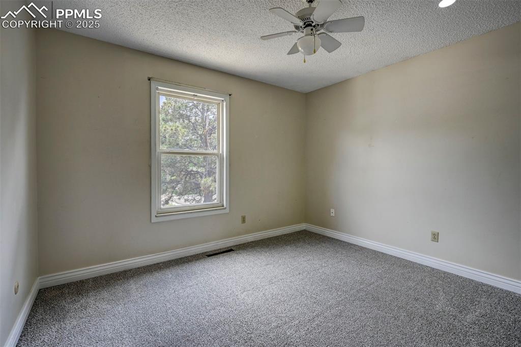 Empty room featuring a textured ceiling, carpet flooring, and a ceiling fan