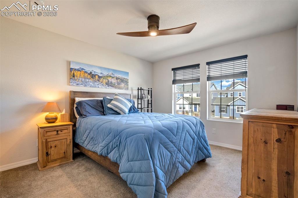 Light filled Primary Bedroom with ceiling fan and carpet. 