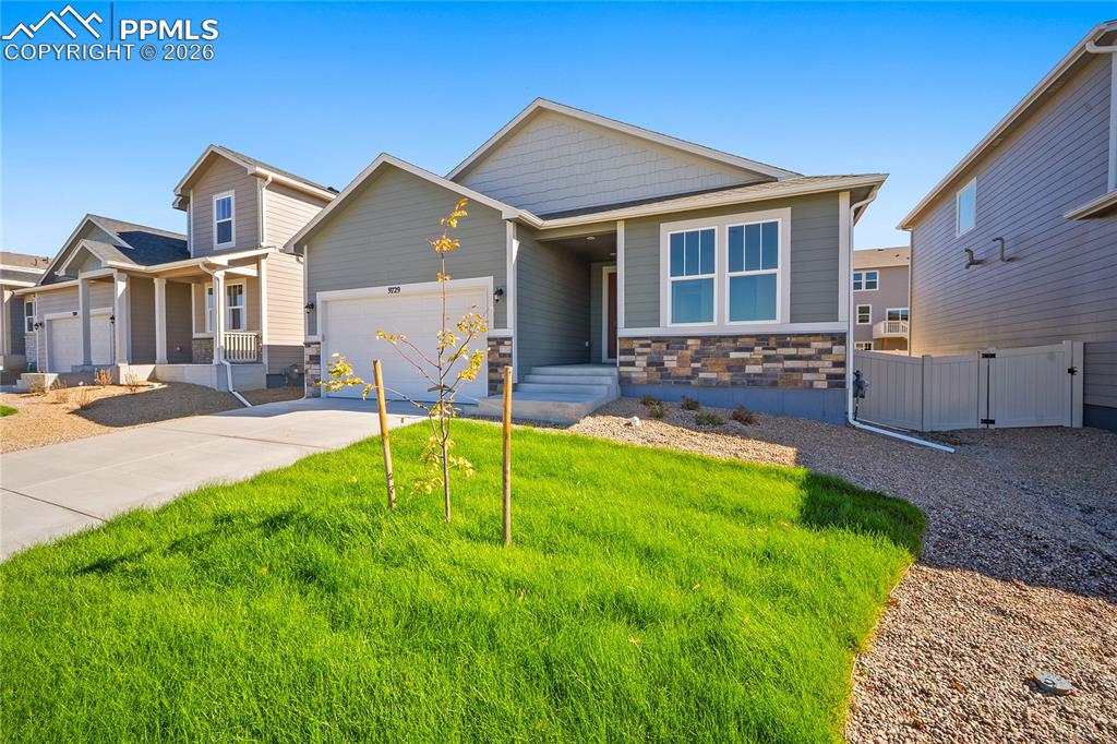 9148 Lanceleaf Drive photo 3