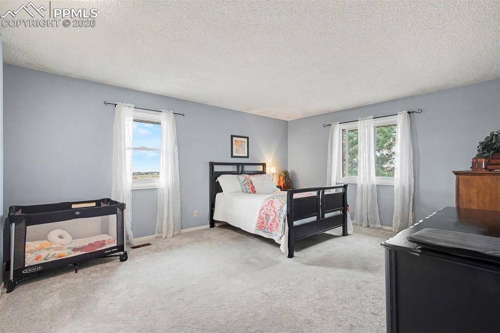 Carpeted bedroom featuring a textured ceiling and multiple windows