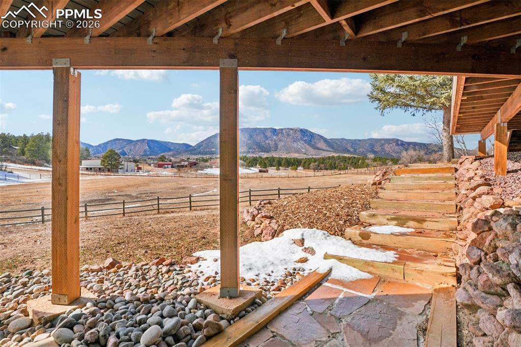 From Walkout Basement view