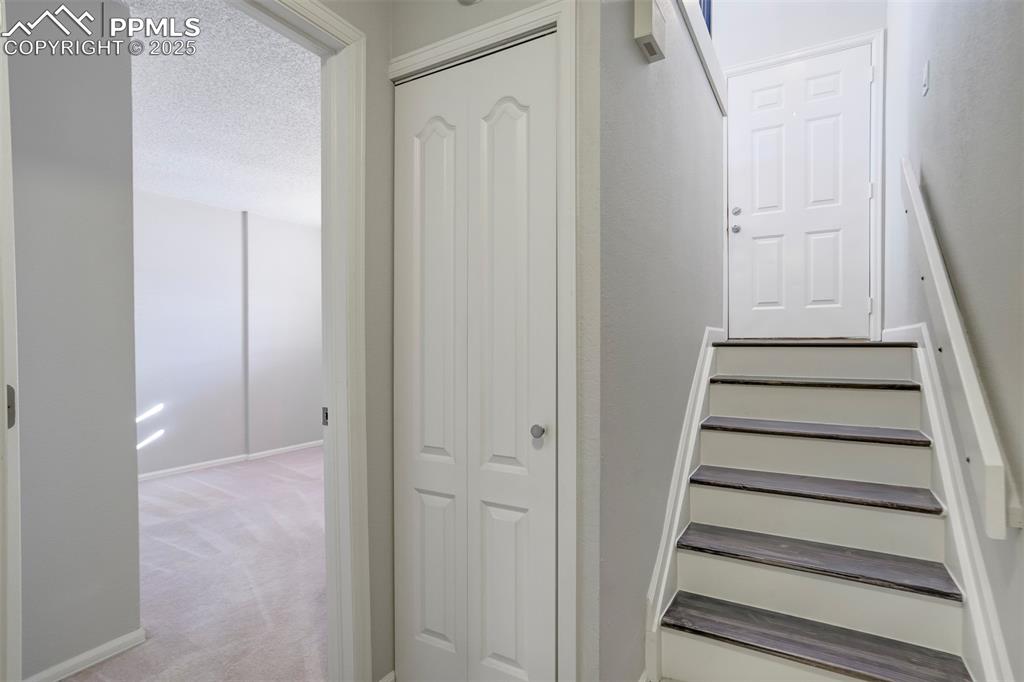 Stairs featuring carpet flooring and a textured ceiling