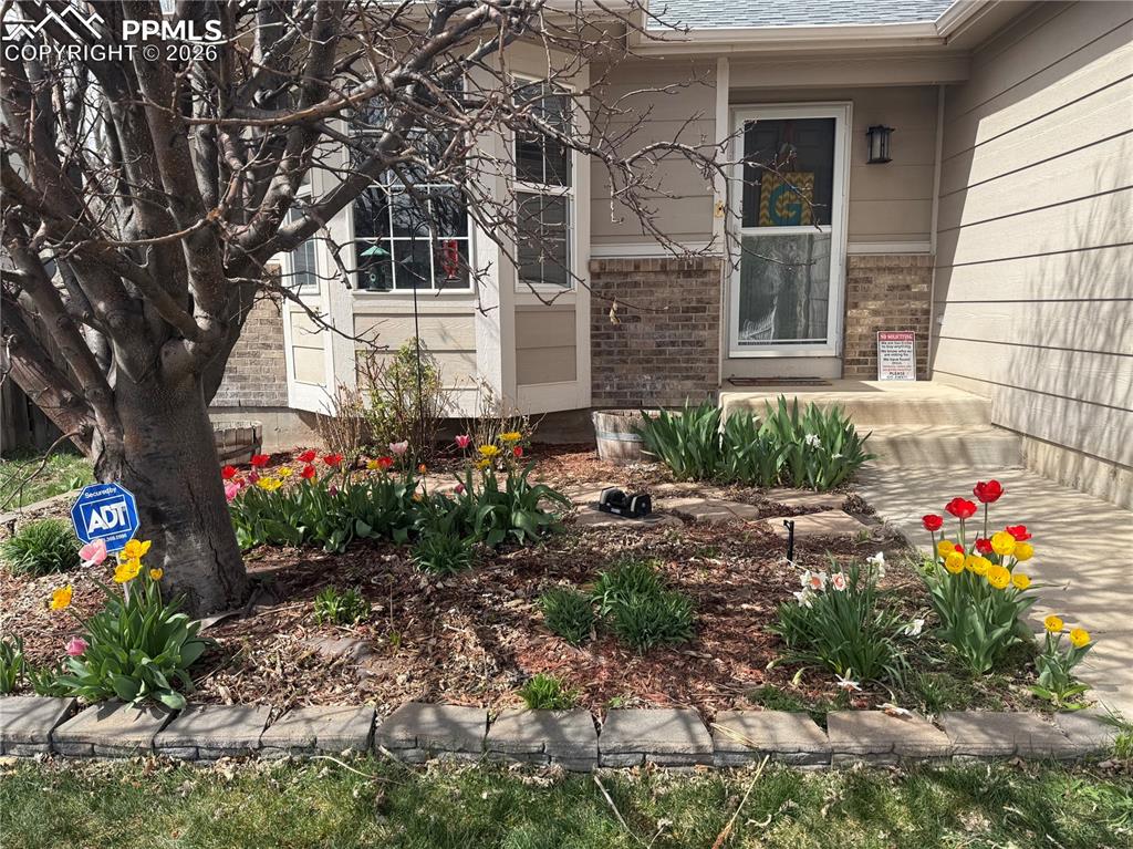 11376 Berry Farm Road photo 2