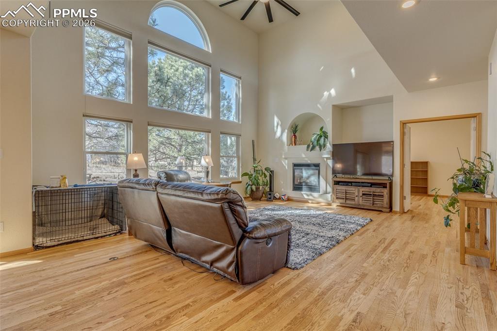 Living room with a glass covered fireplace, light wood finished floors, a high ceiling, and a ceiling fan