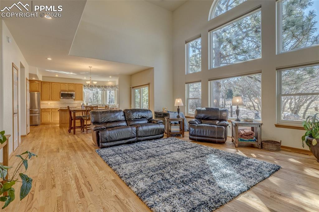 Living area with light wood finished floors and suspended lighting