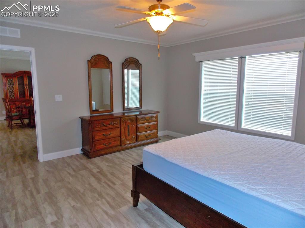 Crown molding and walk in closet