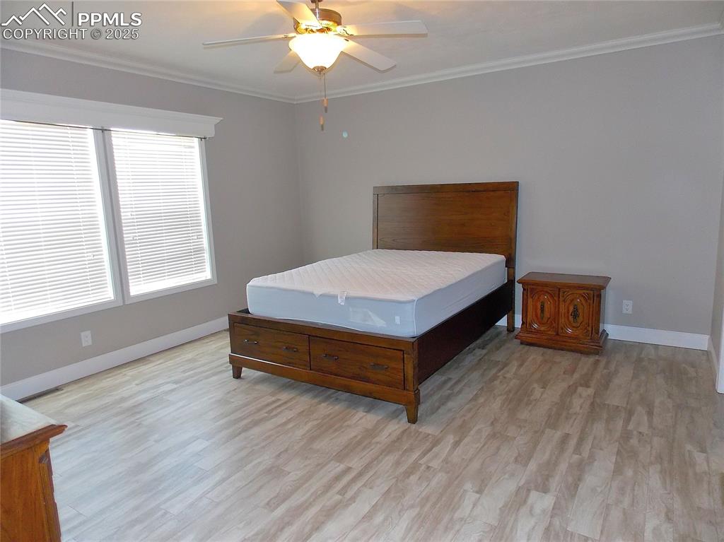 Large windows, lots of light