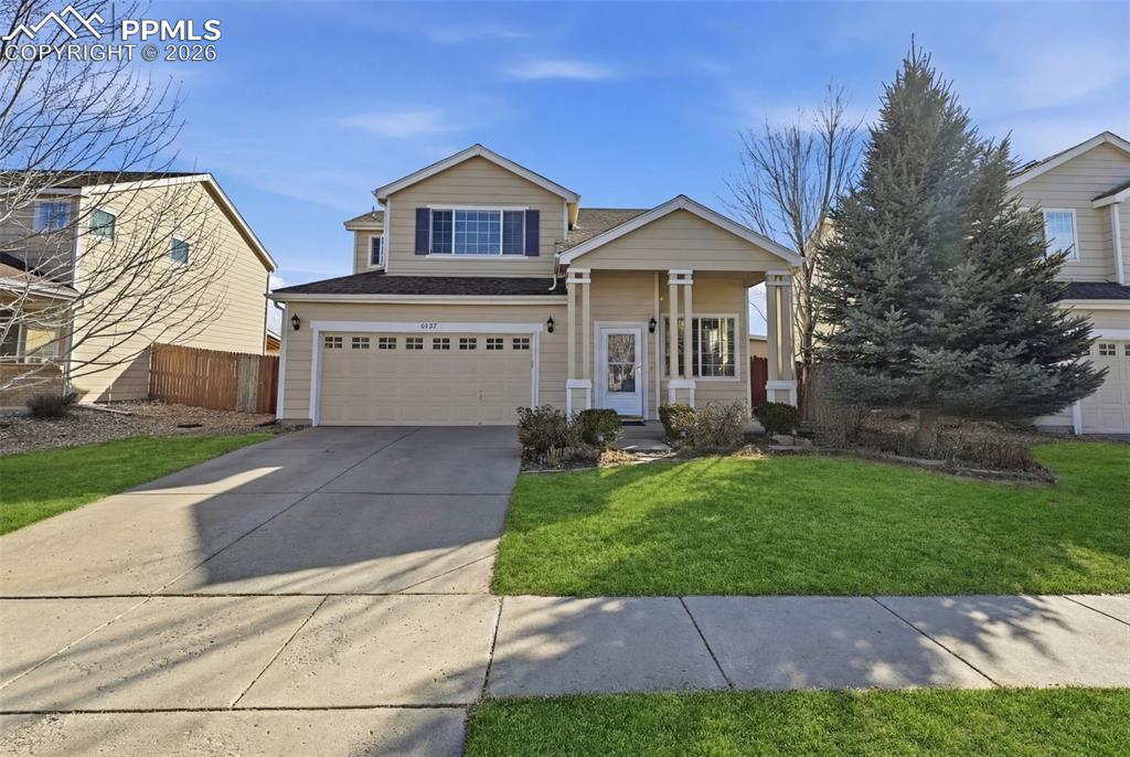 Grass virtually colored