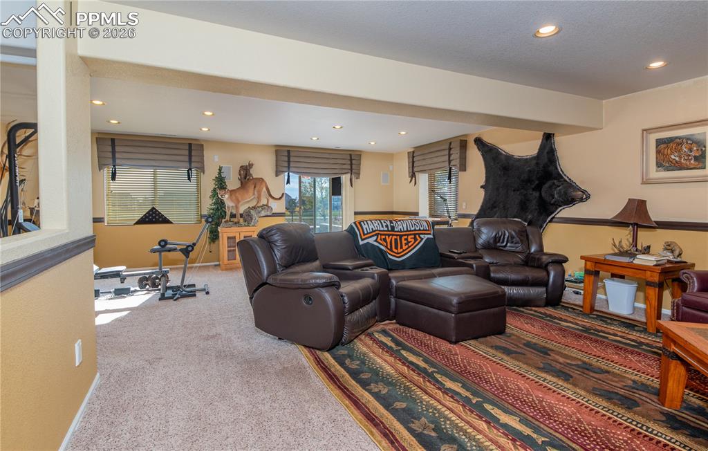 Living/Family/Den room featuring carpet floors and recessed lighting, built-in shelving for entertainment audio/video equipment, walkout basement, with garden-level windows allowing for superior outdoor lighting