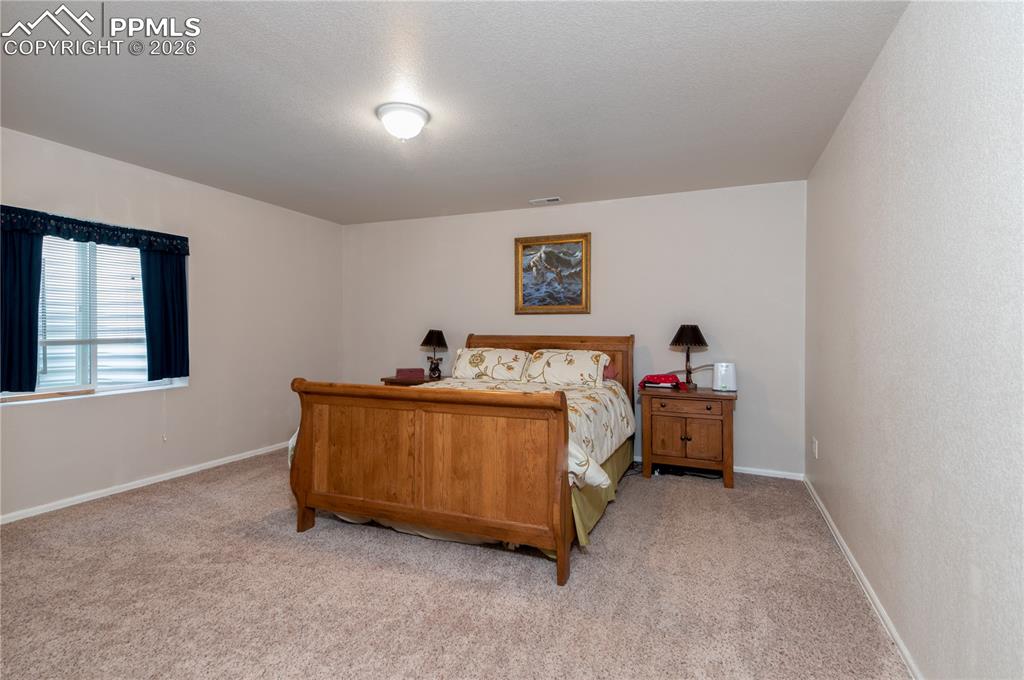Basement-level bedroom featuring light carpet and a closet