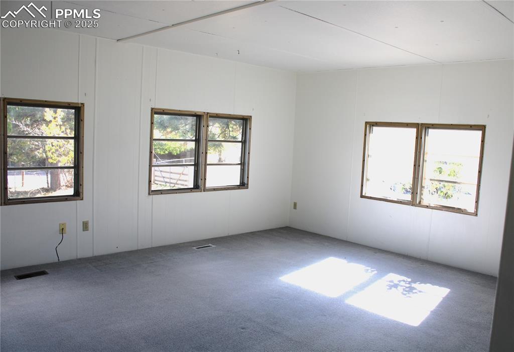 Carpeted empty room featuring a decorative wall