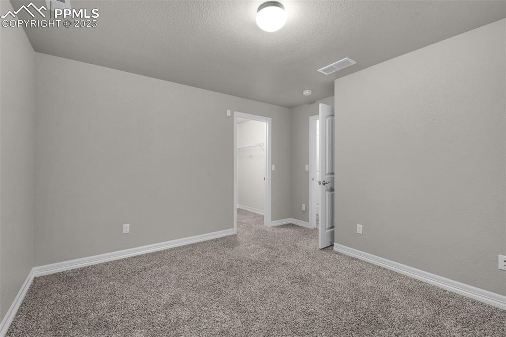 Basement bedroom with walk-in closet