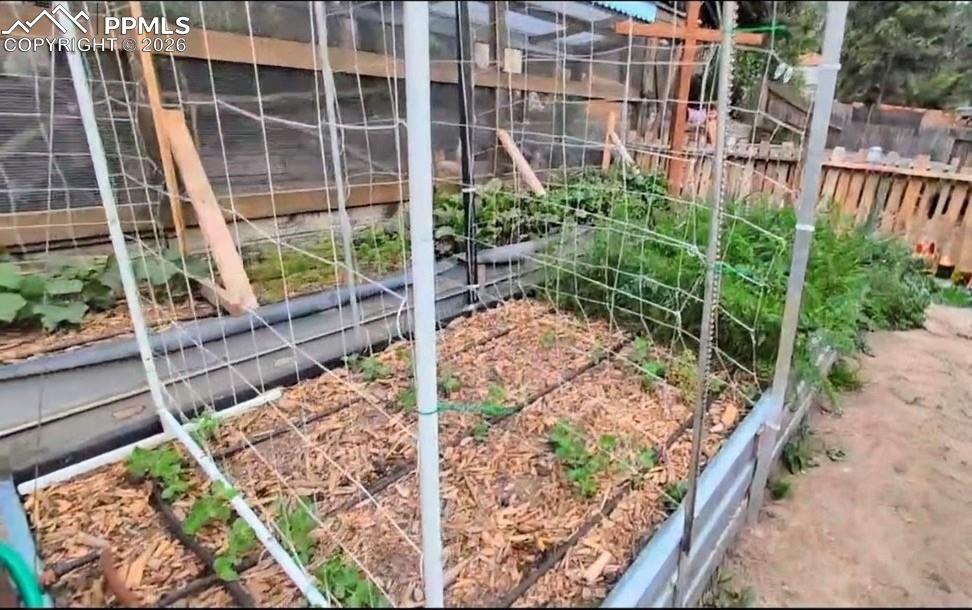 *Garden during growing season*