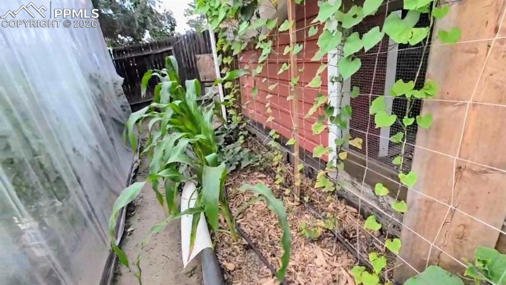 *Garden during growing season*