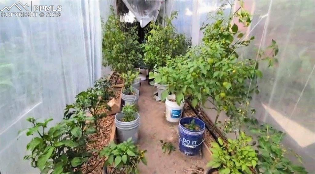 *Garden during growing season*