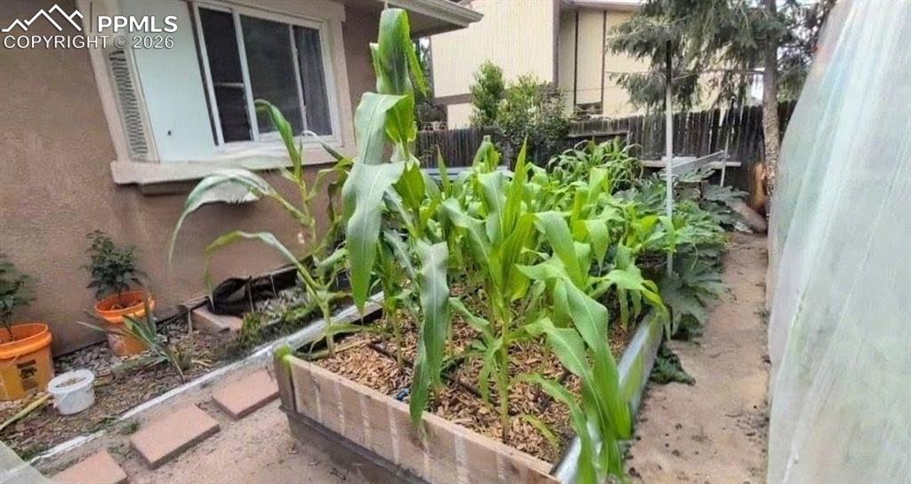 *Garden during growing season*