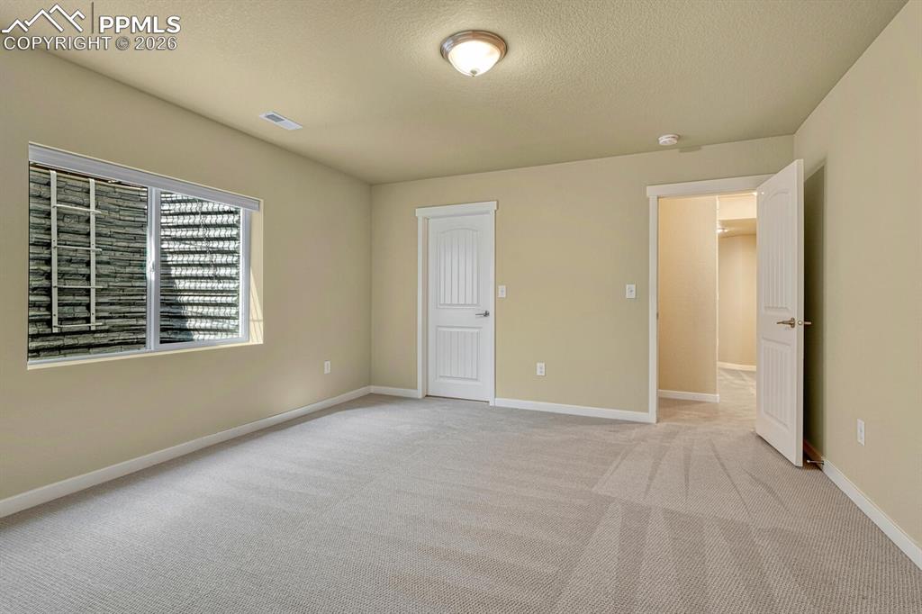 Basement bedroom with walk-in closet