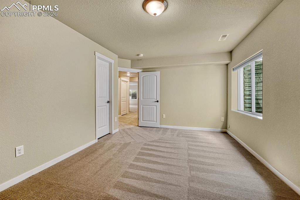 Basement bedroom with walk-in closet