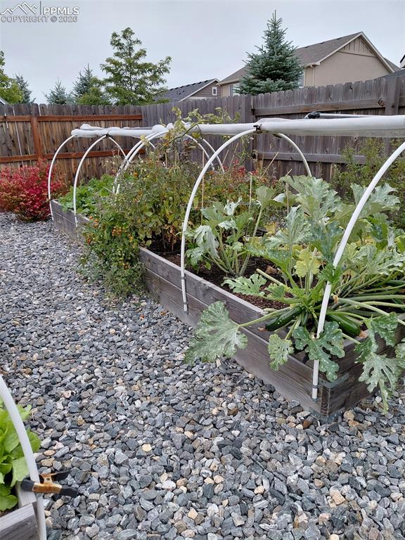 Raised garden beds with hoops and hail netting